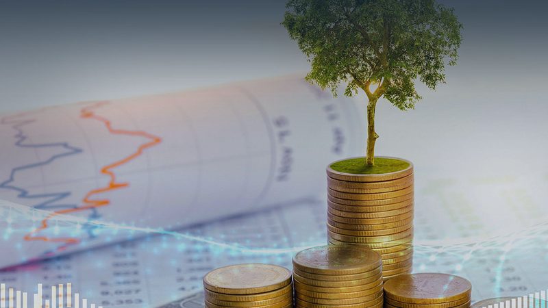 组织架构与岗位设置的规范之道：构建高效团队的关键**